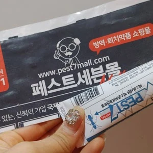 페스트세븐 포트폴리오 이미지